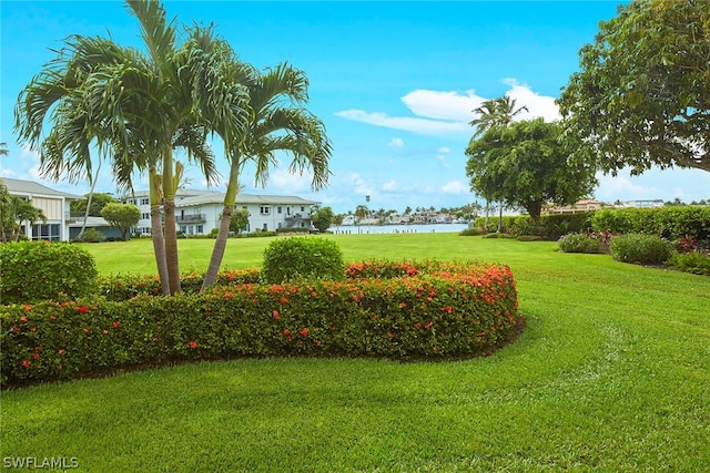 view of property's community featuring a water view and a lawn