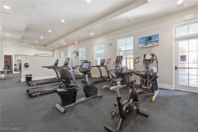 exercise room with a raised ceiling and a healthy amount of sunlight