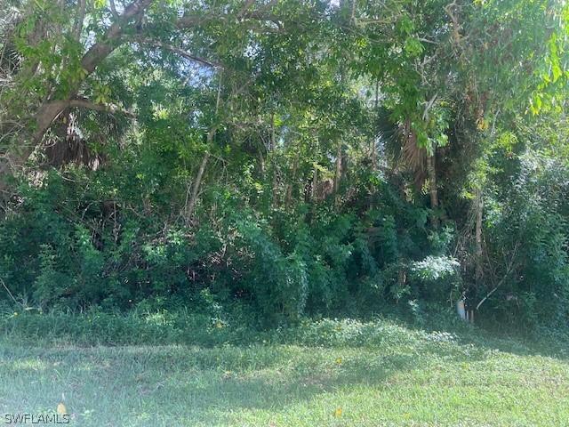 XXX Pine Tree Dr, Naples FL, 34112 land for sale