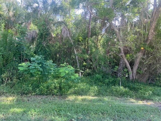 LOT71 N Andrews Ave, Naples FL, 34112 land for sale