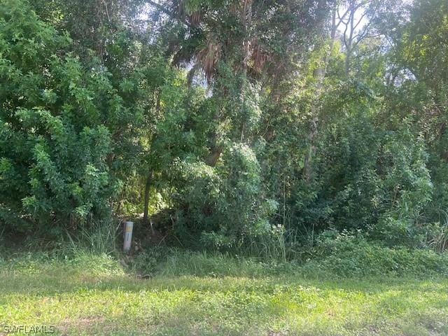 xxx Andrews Avenue, Naples FL, 34112 land for sale