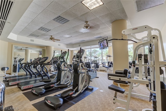 exercise room with carpet flooring, ceiling fan, and a drop ceiling