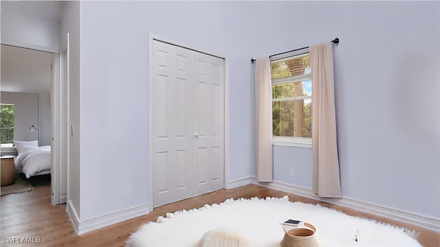 interior space with multiple windows, a closet, wood finished floors, and baseboards