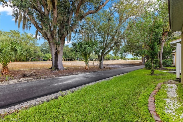 view of road