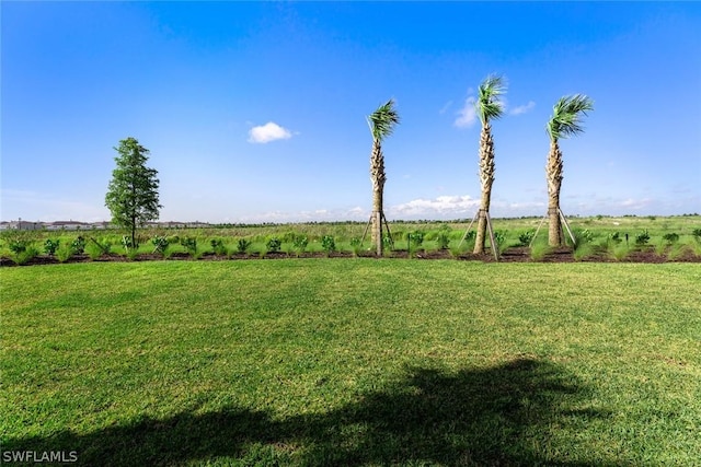 view of yard featuring a rural view