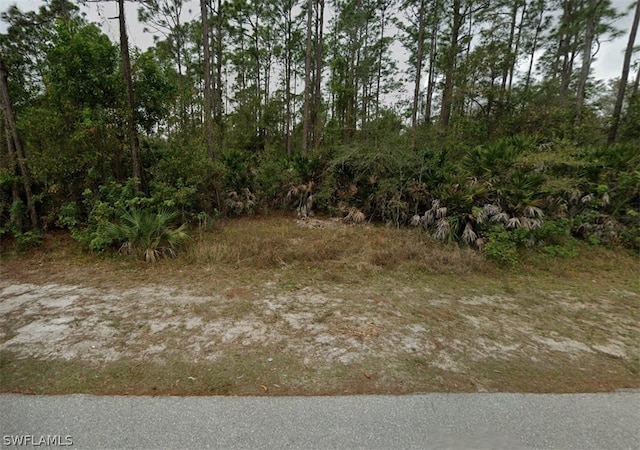 28323 S Twin Lakes Dr, Punta Gorda FL, 33955 land for sale