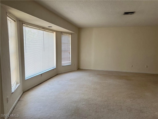 carpeted spare room with a textured ceiling and a wealth of natural light