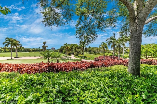 view of property's community featuring a lawn