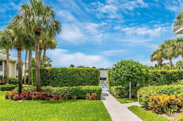 view of property's community featuring a yard