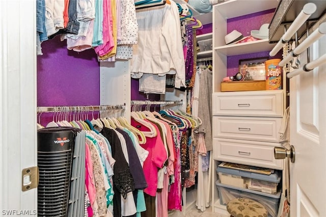 view of spacious closet