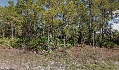 461 Lackey Ave S, Lehigh Acres FL, 33974 land for sale