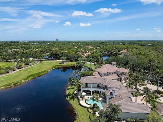 aerial view with a water view