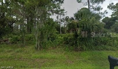 13360 Wolf Ave, Port Charlotte, FL 33953