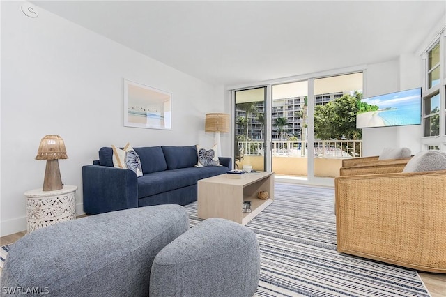 living room featuring light hardwood / wood-style flooring