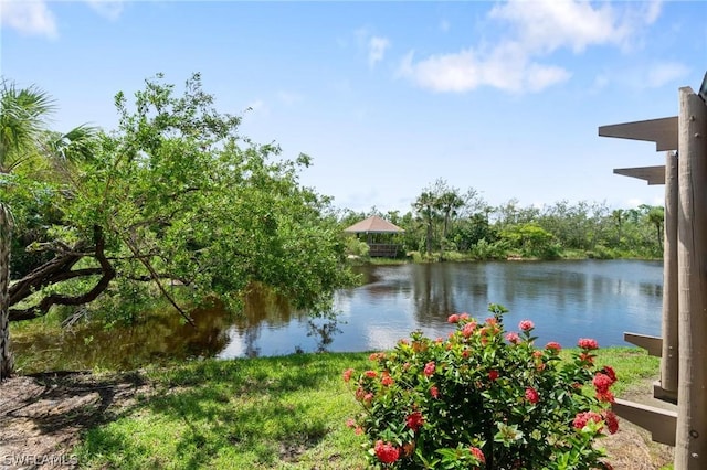 property view of water