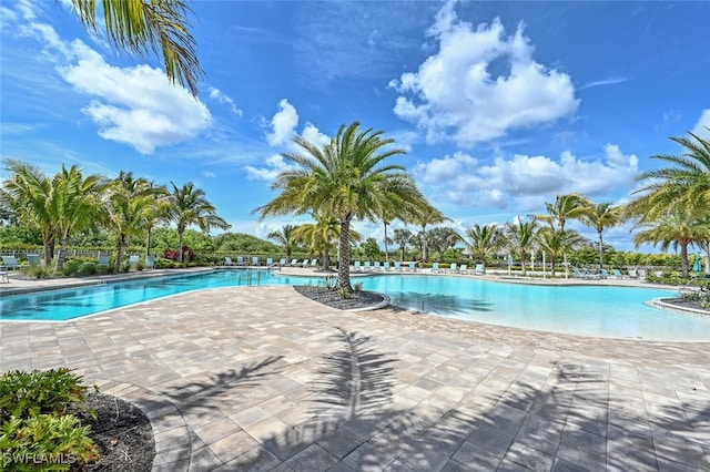 view of pool featuring a patio area