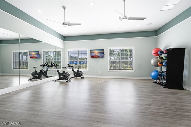 exercise room with ceiling fan and wood-type flooring