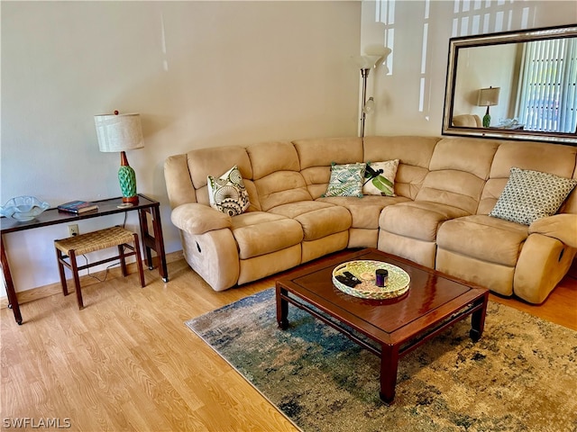 living room with hardwood / wood-style floors