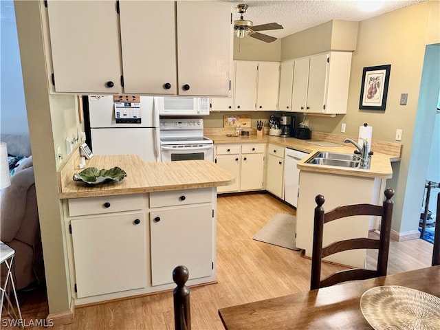 kitchen with ceiling fan, white appliances, light wood-type flooring, sink, and white cabinets