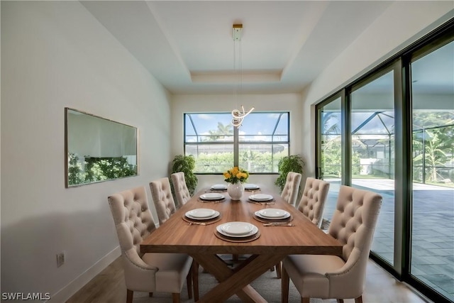 dining room with hardwood / wood-style floors and a tray ceiling