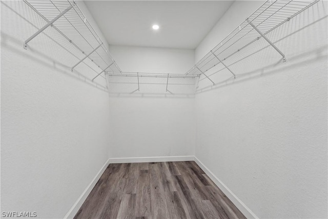 walk in closet featuring dark wood-type flooring