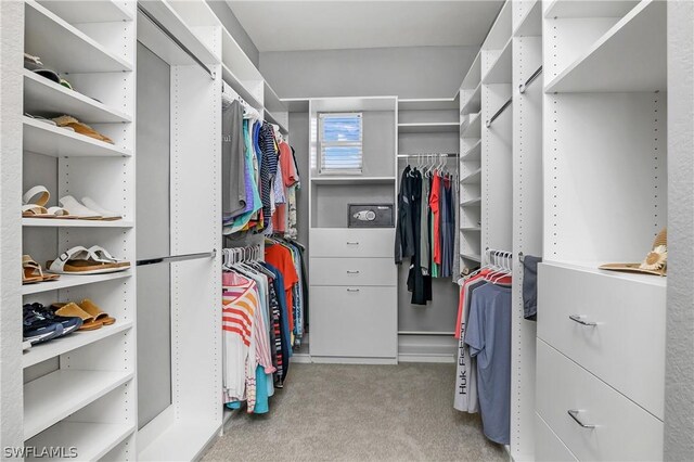 spacious closet with carpet