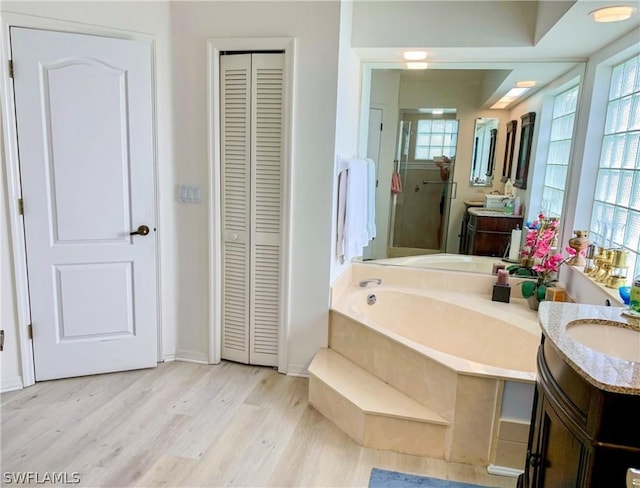 bathroom with a garden tub, a closet, wood finished floors, and vanity