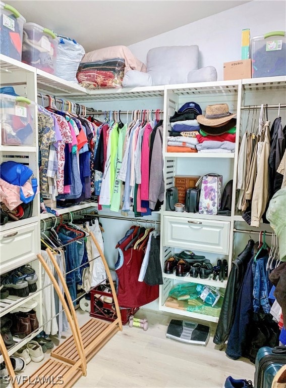 spacious closet with hardwood / wood-style flooring