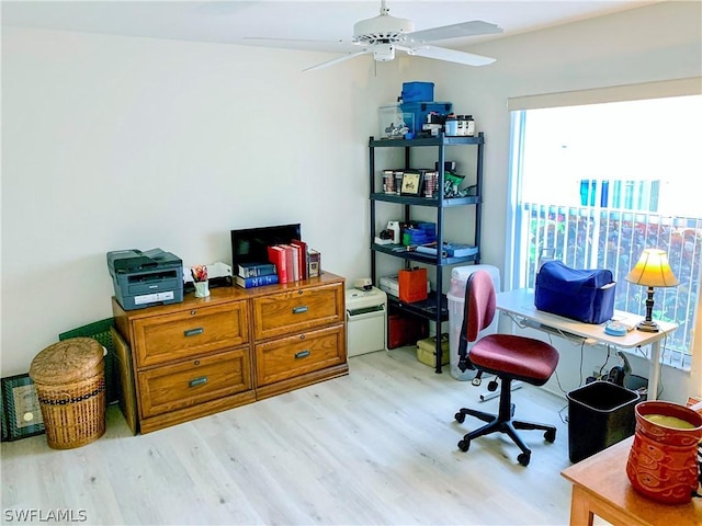 office with light wood finished floors, plenty of natural light, and ceiling fan