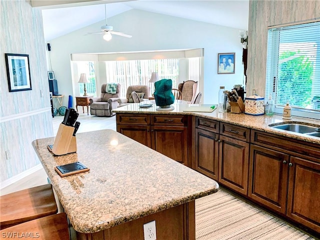 kitchen with a kitchen island, light stone counters, open floor plan, a kitchen bar, and a sink