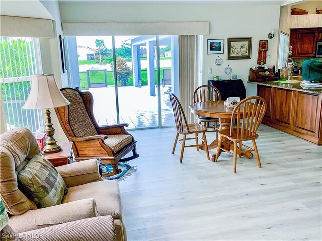 interior space featuring a healthy amount of sunlight and light wood-type flooring