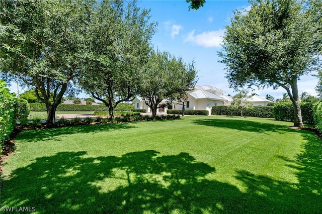 171 N St, Naples, FL 34108 - view of green lawn