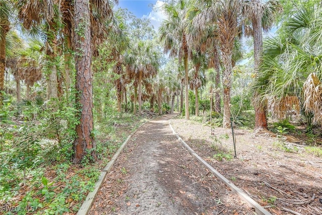 1732 Tarpon Bay Dr S Unit 203, Naples, FL 34119 - view of road with a wooded view