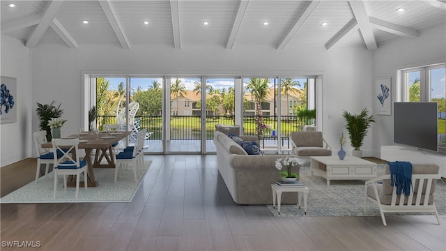 interior space with plenty of natural light, high vaulted ceiling, and hardwood / wood-style flooring