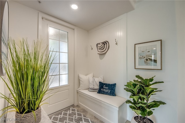 mudroom with carpet