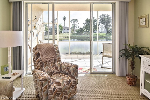 14931 Park Lake Dr Unit 109, Fort Myers, FL 33919 - sitting room featuring a water view and carpet floors