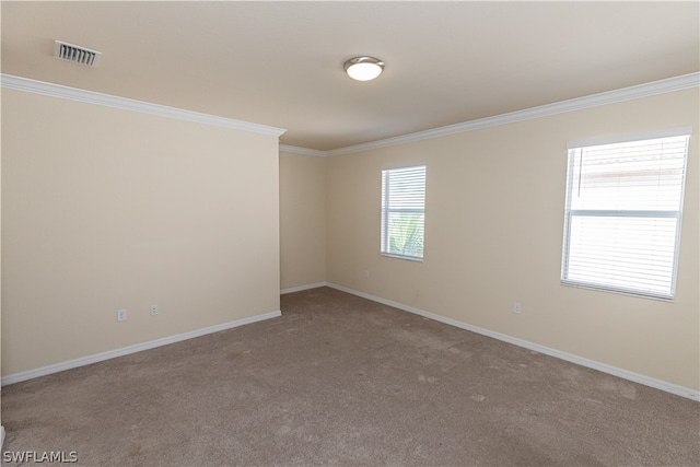 spare room with carpet and ornamental molding