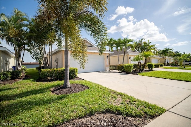 ranch-style home with a front lawn