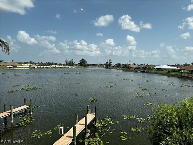 view of water feature with a boat dock