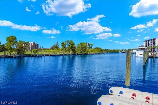 property view of water with a dock