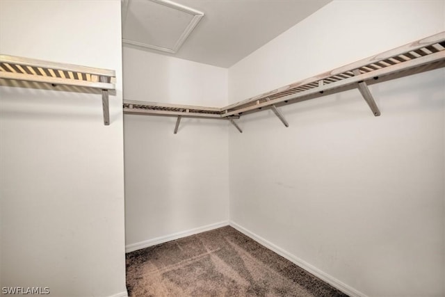 spacious closet featuring dark carpet