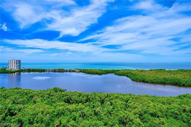 5550 Heron Point Dr Unit 1503, Naples, FL 34108 - water view