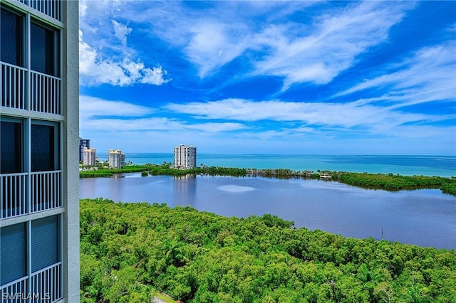 5550 Heron Point Dr Unit 1503, Naples, FL 34108 - water view