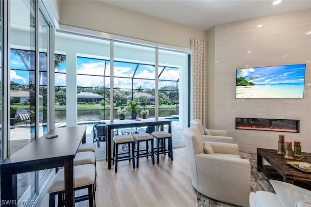 living room featuring light hardwood / wood-style floors