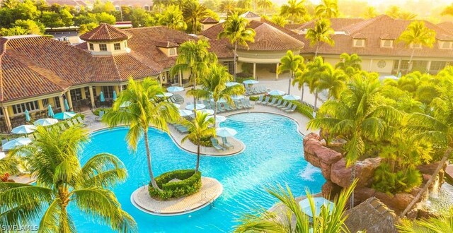 view of swimming pool with a patio