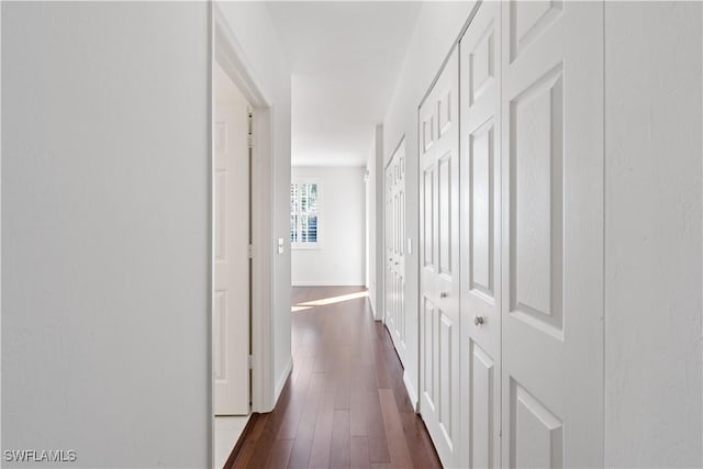 hallway with dark wood-type flooring