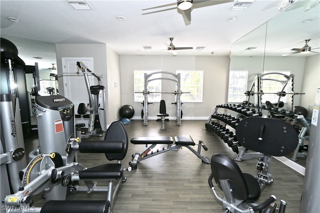 workout area featuring ceiling fan and dark hardwood / wood-style flooring