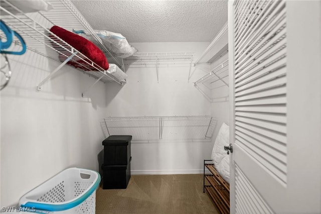 spacious closet with carpet flooring