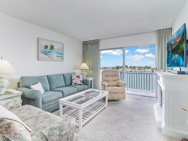 carpeted living room with a textured ceiling