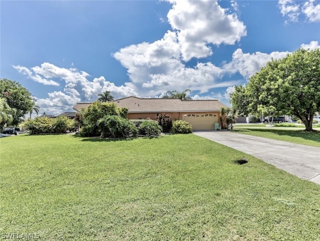 ranch-style house with a front lawn